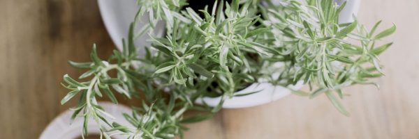 Significant Moments in English Football